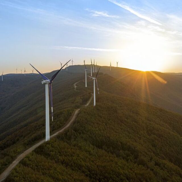 Yeşil Mutabakat çalışma grubu oluşturuldu