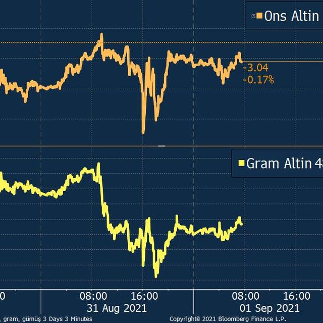 Altında 'şahin Avrupa' duraksaması