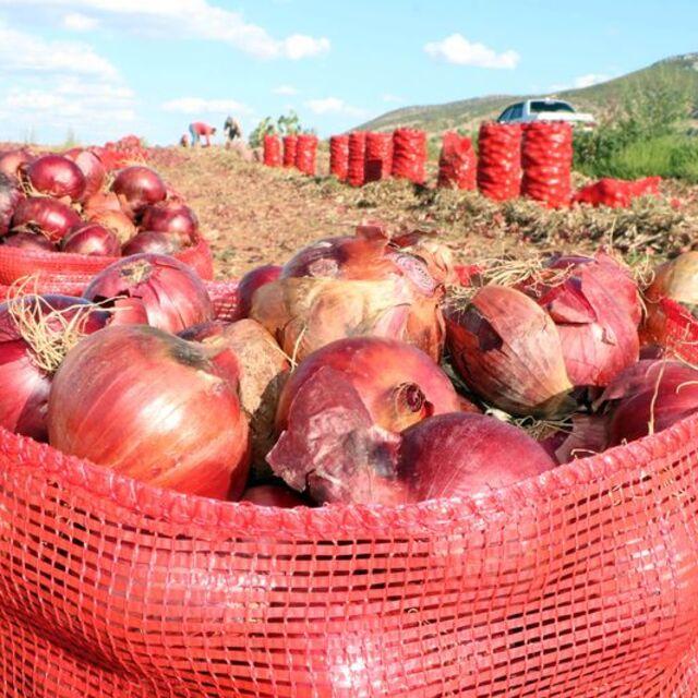 "Tarla-market makasında soğan lider, müdahale edilmeli" - 4 yıl önce