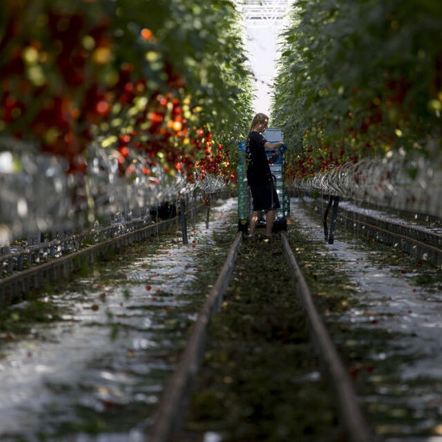 Doğalgaz krizi tarıma sıçradı