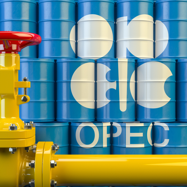 OPEC petrol talep tahminini düşürdü