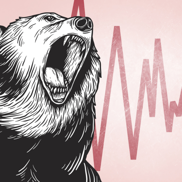 TL'de 'ayı tahminleri' benzerlerinin üzerinde