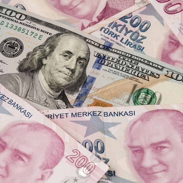 Sarkuysan'dan yeni model yorumu: Döviz bulmakta zorlanıyoruz