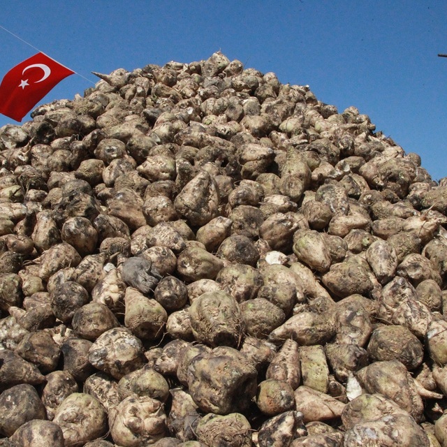 TürkŞeker'in 2022 şeker pancarı alım fiyatı belli oldu