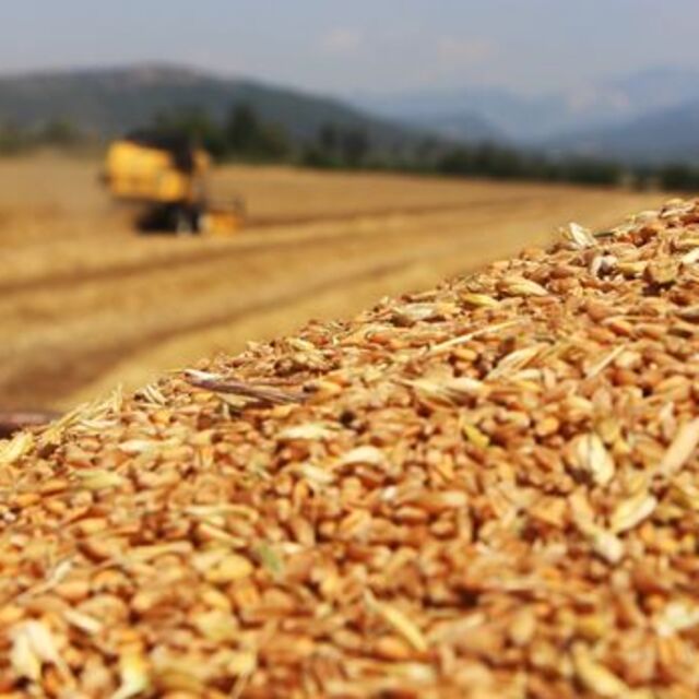 Küresel gıda fiyatları rekor seviyeye ulaştı