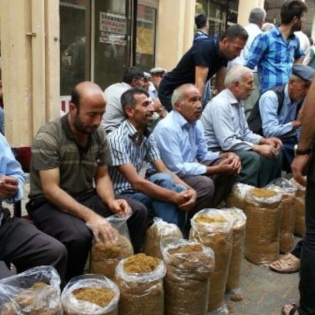 Sarmalık tütünde ÖTV önlemi - 4 yıl önce
