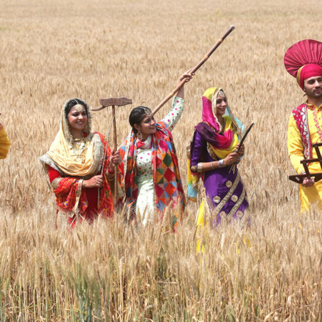 Hindistan buğday ihracatını yasakladı