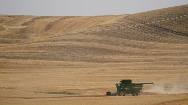 Çiftçisin sen, çiftçi kal