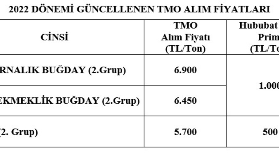 www-bloomberght-com.cdn.ampproject.org