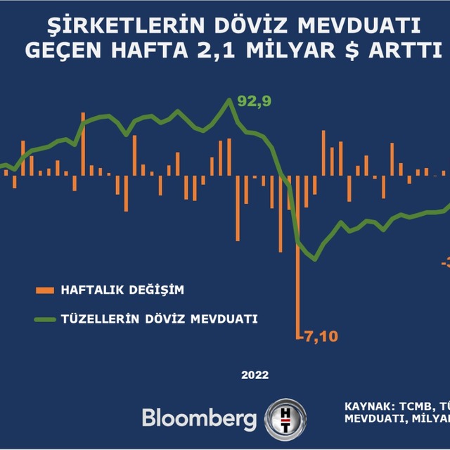 Türkiye'de bankadaki her 100 liradan 71'i 'dolarize'