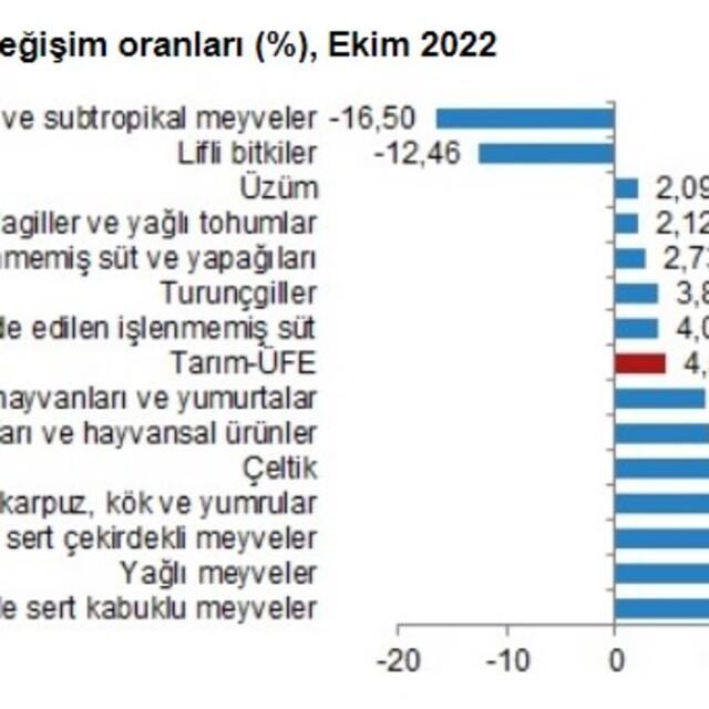 Tarımda üretici enflasyonu rekor tazeledi - 3 yıl önce