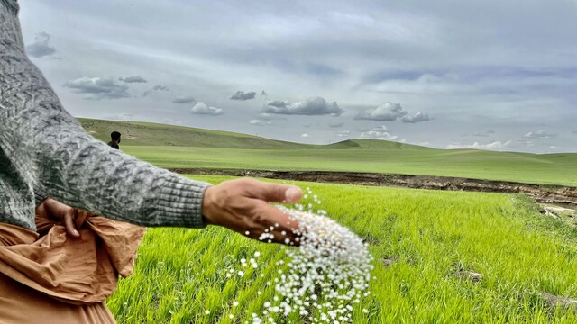 Gübre fiyatları ne olacak?