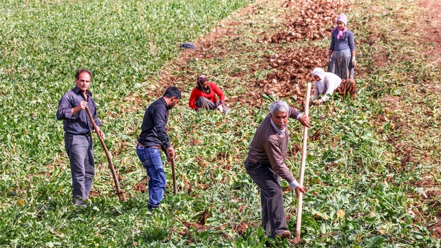 Tarım Bakanı Yumaklı'ya çiftçilerden 22 maddelik rapor