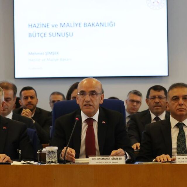 Şimşek: Türkiye Yeşil Fonu kurulacak