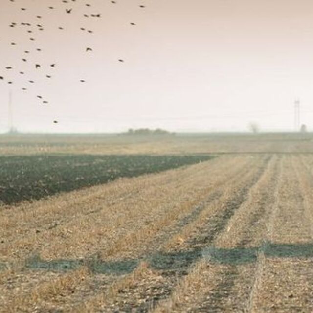Devlet üst üste iki yıl işlenmeyen tarım arazisini kiraya verecek