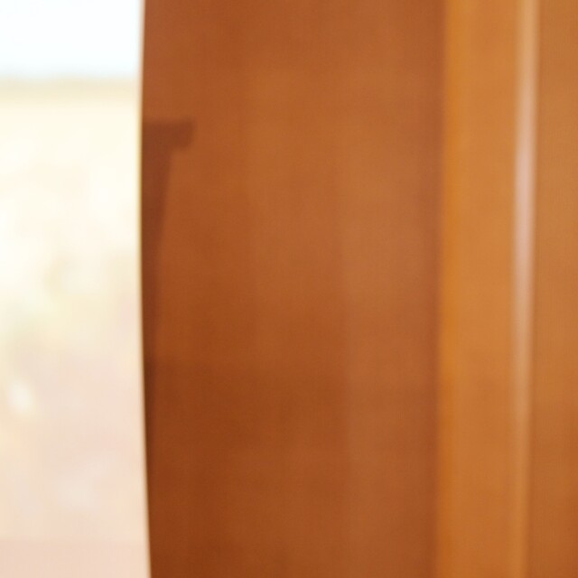 Toros Tarım girişimci adaylarını desteklemek için program başlattı