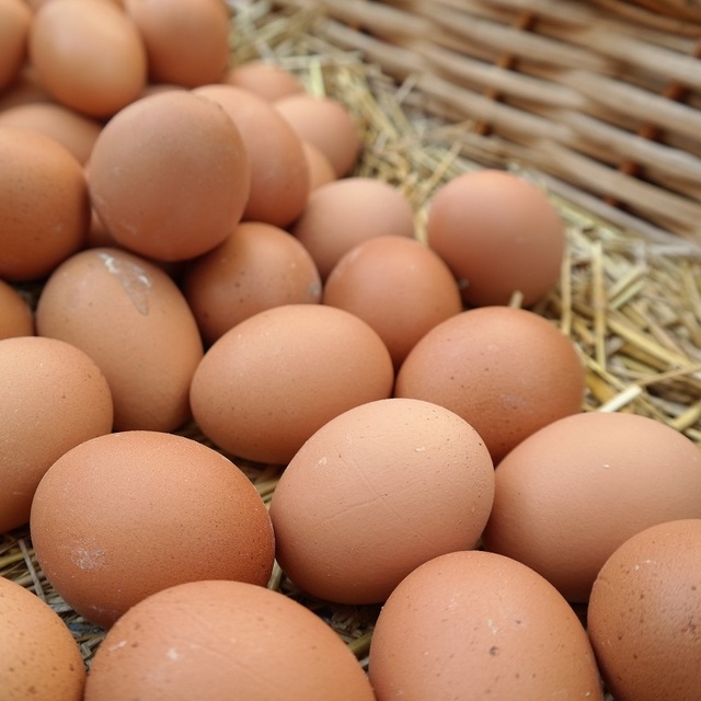 100 bin organik yumurta çaldılar