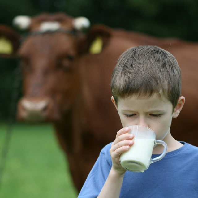 USK çiğ süt tavsiye fiyatına yönelik açıklama yaptı