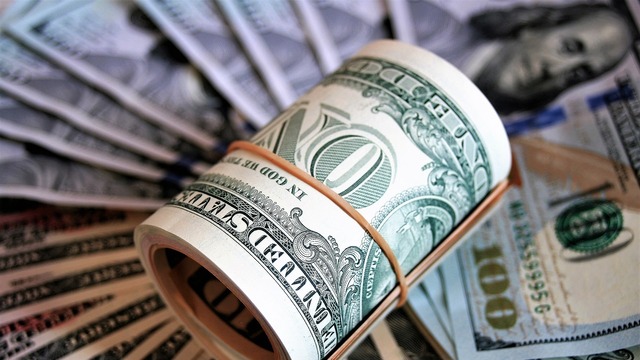 Doların çok değişkenli yılları