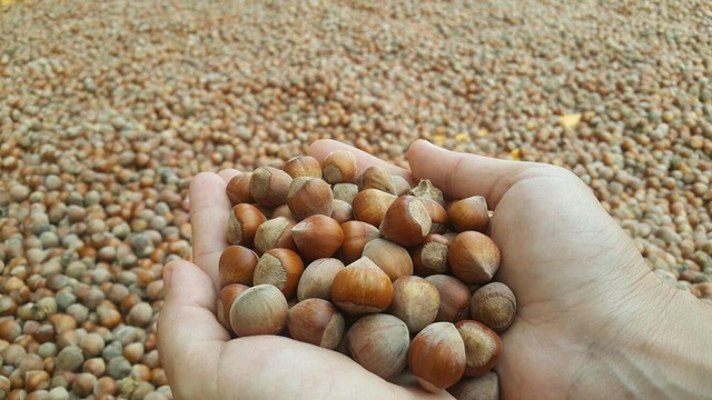 Ferrero'nun Rekabet Kurumu'na sunduğu taahhütleri mahkeme iptal etti