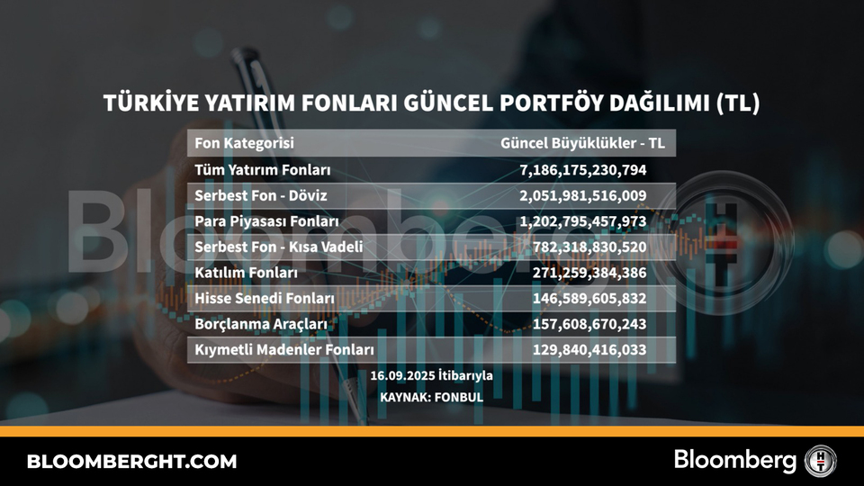 Türkiye yatırım fonları güncel portföy dağılımı