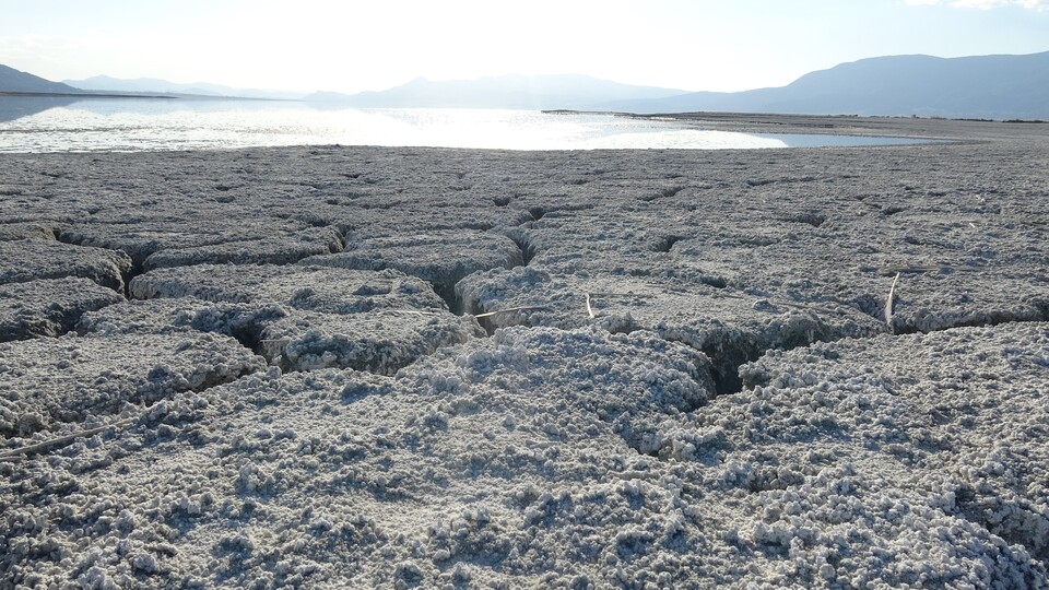 Prof. Dr. Gülle'den kritik uyarı: Bütün göller küçülme trendinde | Tarım haberleri