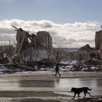 ABD'li yetkili: Ukrayna, barış anlaşması şartlarını kabul etti-ABC News