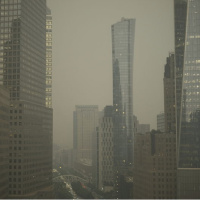 ABD'de özel sektör istihdamı Kasım'da geriledi