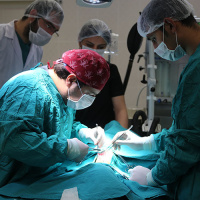 Sağlık harcamalarında özelin payı 16 yılın zirvesinde