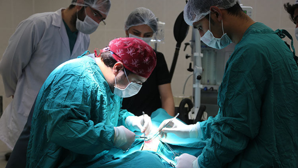 Sağlık harcamalarında özelin payı 16 yılın zirvesinde | Son dakika ekonomi haberleri