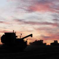 Küresel gıda fiyatları Kasım'da düştü