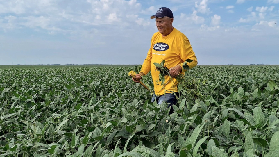 Trump'tan çiftçilere 12 milyar dolarlık tarife desteği | Tarım haberleri
