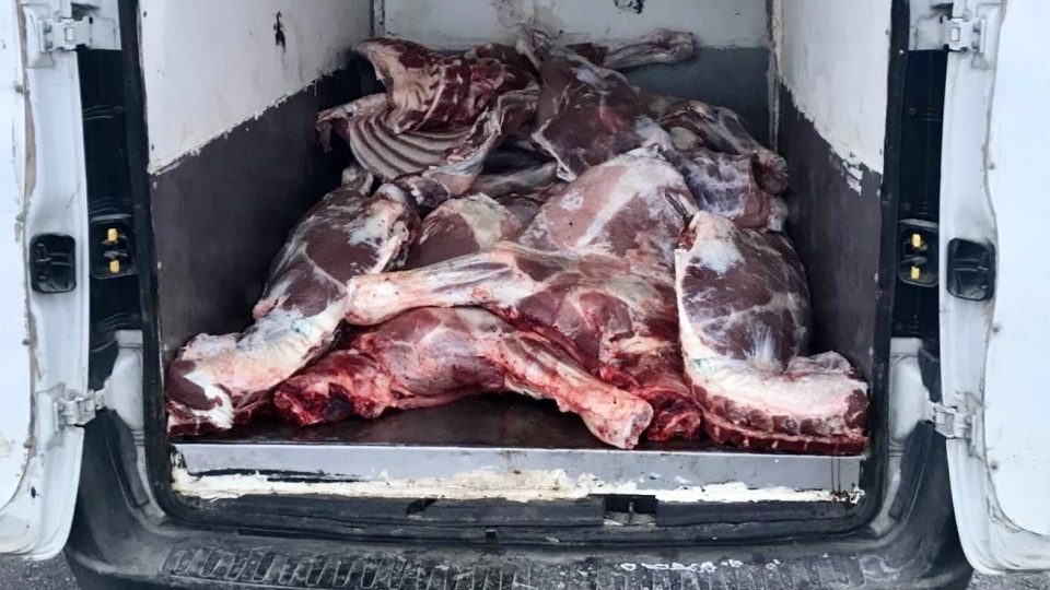 6 ton kaçak ve bozulmuş hayvansal ürün ele geçirildi | Tarım haberleri