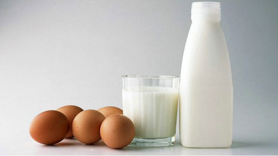 Süt ve yumurta üretimi azaldı, tavuk eti üretimi arttı