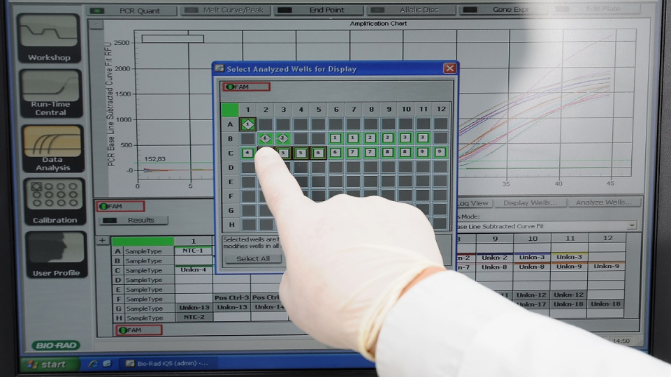 GDO'lu mısır davası Nisan 2026'ya ertelendi