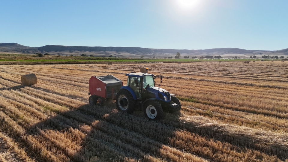 Bitkisel üretimdeki kaybın bilançosu netleşti | Tarım haberleri