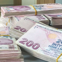 TL'nin reel değerinde sınırlı gerileme