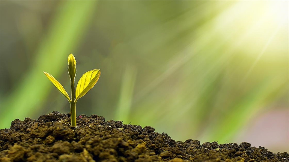 WEF: Yeşil ekonomi 2030'a kadar 7 trilyon dolara ulaşacak | Davos haberleri