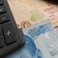 Aralık'ta en yüksek getiri DİBS'te oldu