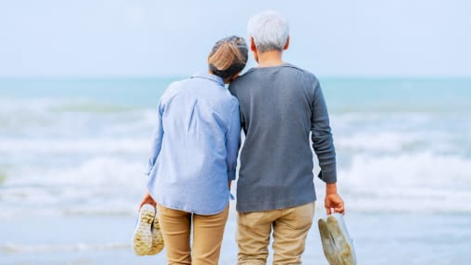 Yüzde 20 katkıyla da sistem BES’lenebilir | Son dakika ekonomi haberleri