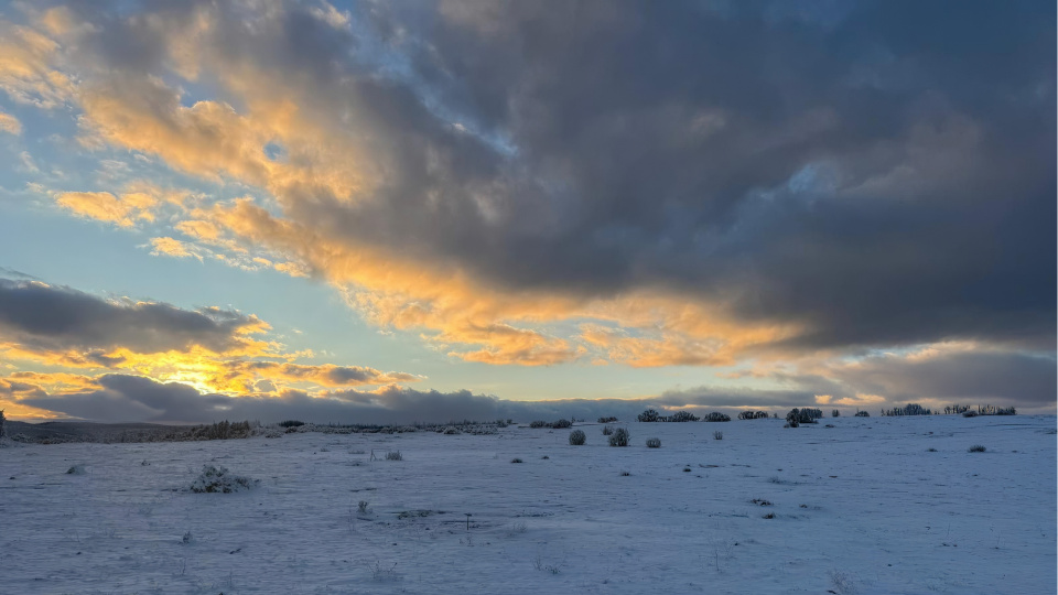 Çimsa, Bilecik'teki maden projesi ruhsatının iptali için başvurdu | Son dakika ekonomi haberleri