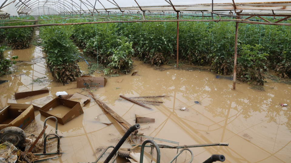 Antalya'da seraları su bastı, hasar tespit çalışmaları sürüyor