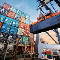 “AB’nin Hindistan ve Mercosur anlaşması aleyhimize işleyebilir”