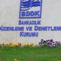 Ekonomide koordineli düzenlemeler