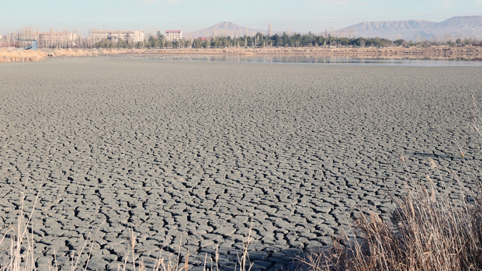 Son 55 yılda sulak alanların yüzde 22'sini yok ettik