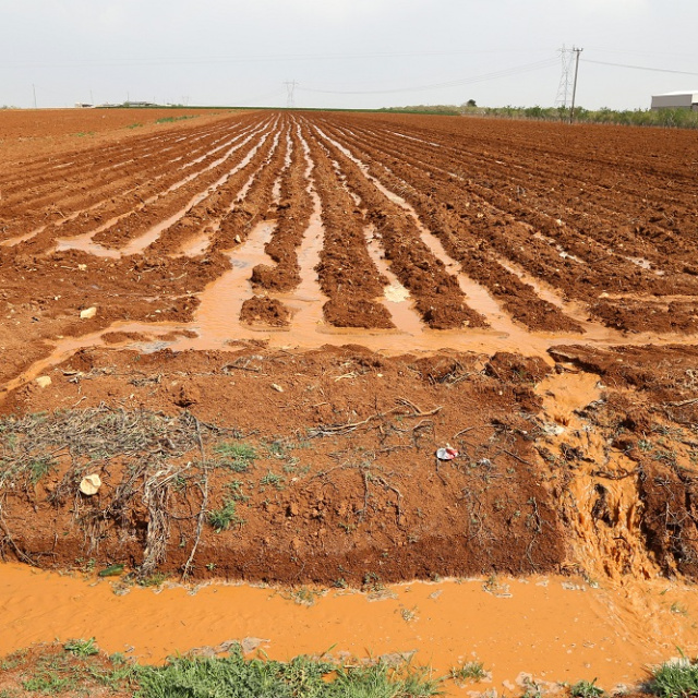 "Türkiye tarımda kullandığı suyun yarıdan fazlasını israf ediyor"