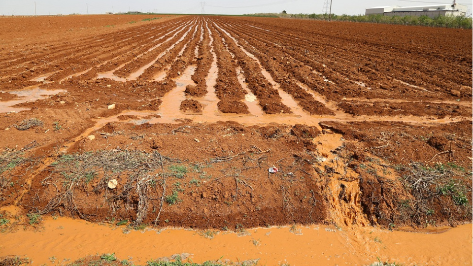 "Türkiye tarımda kullandığı suyun yarıdan fazlasını israf ediyor"