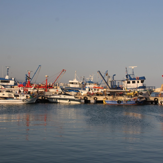 1,8 ton kalkan balığına el konuldu