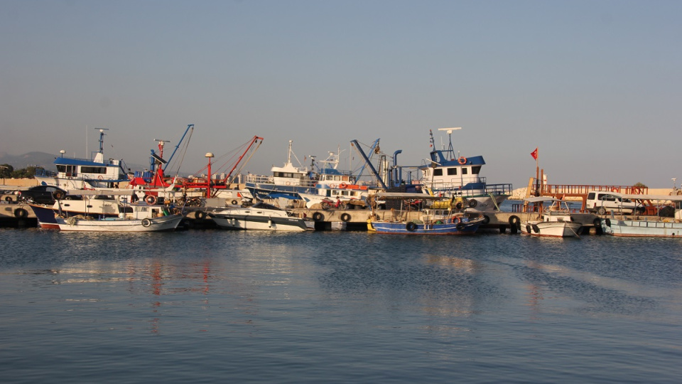 1,8 ton kalkan balığına el konuldu