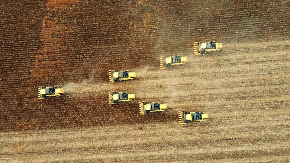 Küresel gıda fiyatları düşüyor